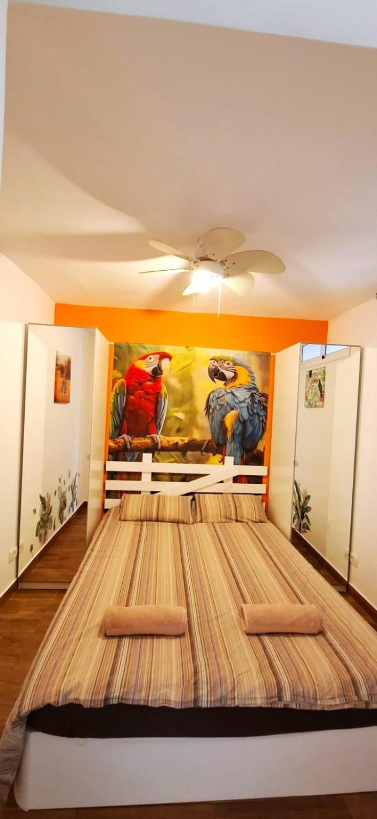 Apartment Amarilla Rock Arona (Tenerife)